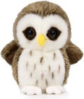 Bear Wild Animal Small Stuffed Animals Zoo Family Plush Toy (Owl 6 Inches)