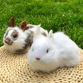 Pack of 2 Realistic Furry Plush Rabbits Figurines Stuffed Farm Animal Models Home Decoration Lifelike Easter Bunnies Statue Photo Props Kids Gift (White+White&Brown)